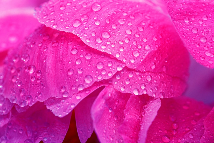 Moisturizers and Lubricants Moisturizers and Lubricants