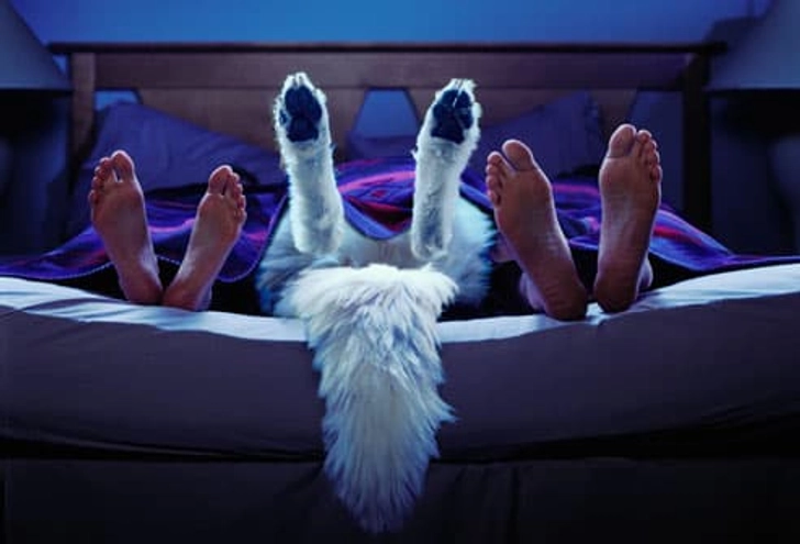 17. Beds Are for People 17. Beds Are for People