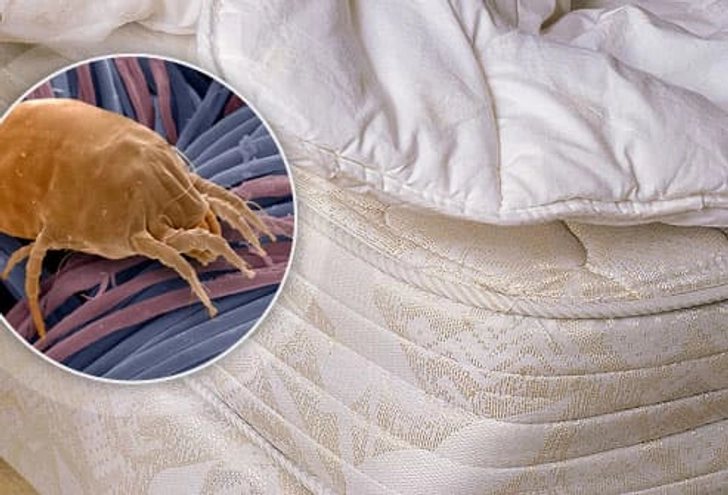 6. Seal Your Mattress 6. Seal Your Mattress