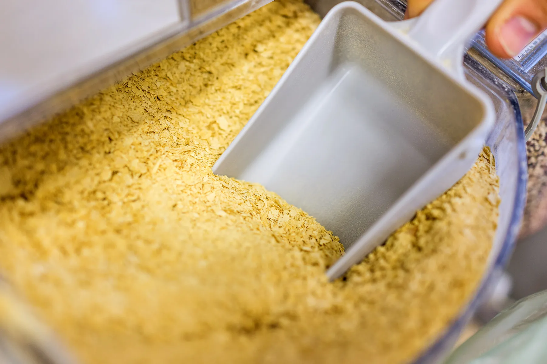 photo of nutritional yeast