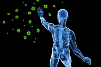 Boost Your Immune System