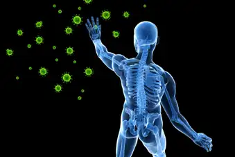 Boost Your Immune System Boost Your Immune System