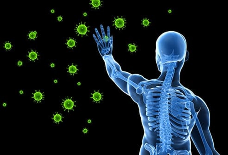 Immune System