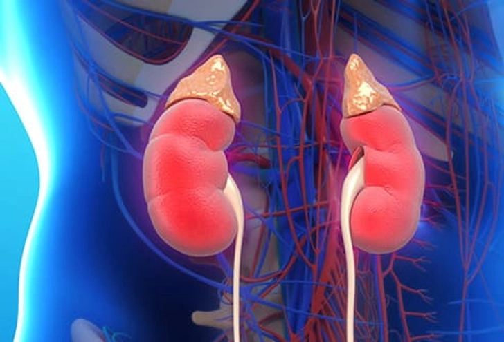 Kidney Disease