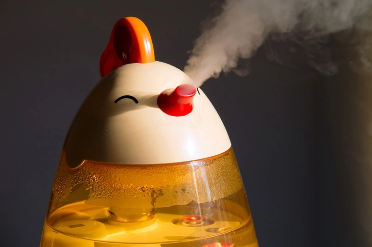 Humidifier