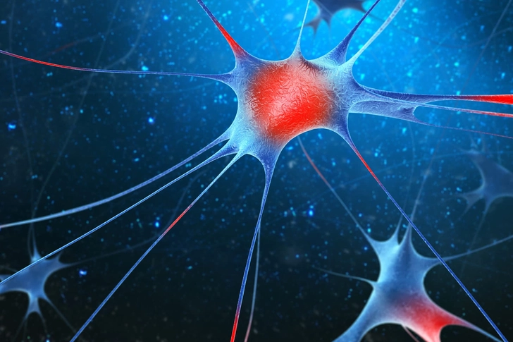 Alzheimer's Disease Alzheimer's Disease
