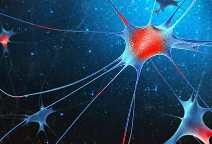 Nerve Damage Nerve Damage