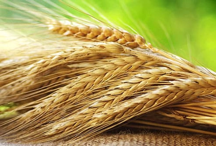 Celiac Disease