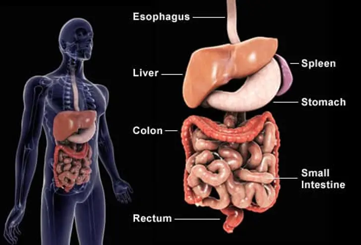 What Ulcerative Colitis Surgery Involves What Ulcerative Colitis Surgery Involves