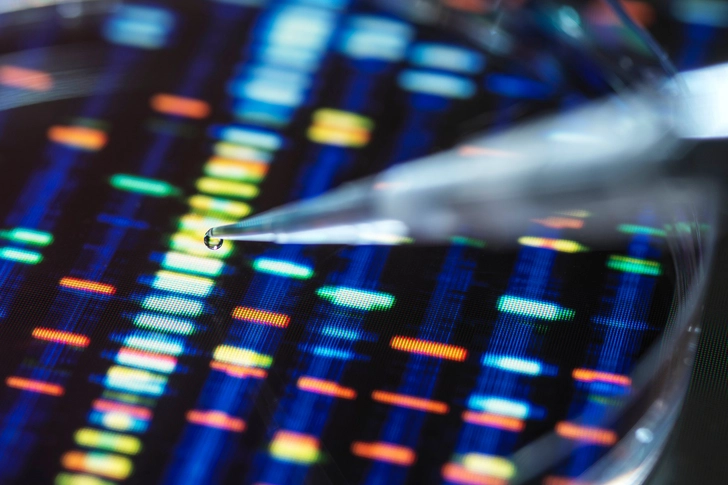 Focus on Genes