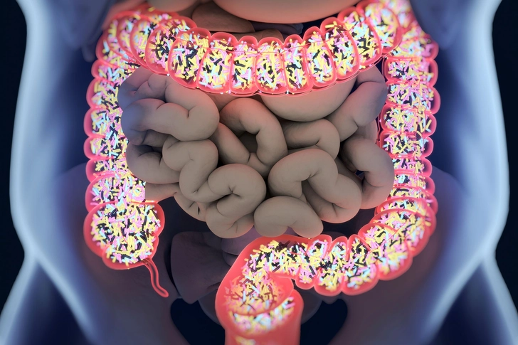 Gut Bacteria: The Good and the Bad