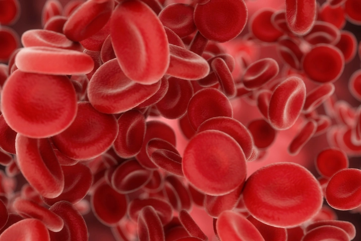Red Blood Cell Count