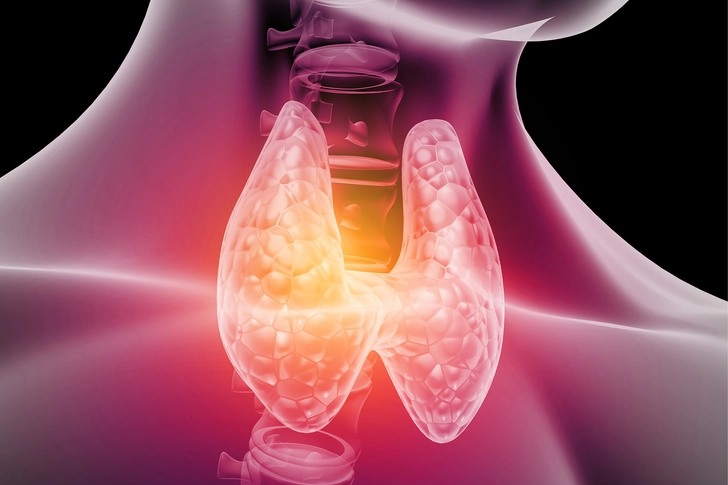 Thyroid-Stimulating Hormone