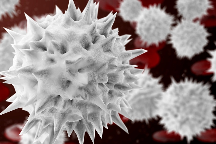 White Blood Cell Count
