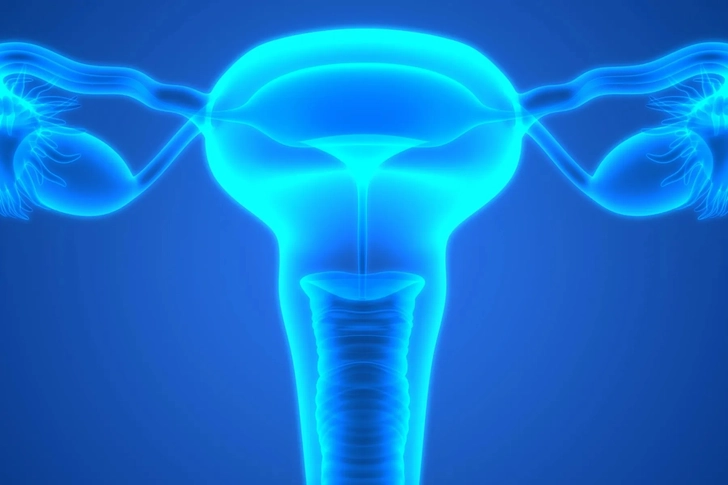 Endometriosis Treatment Options Endometriosis Treatment Options