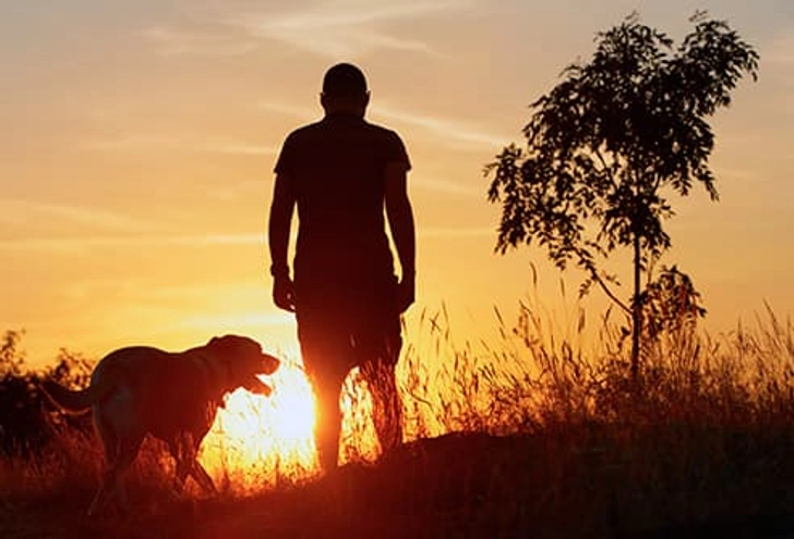 Walk Your Dog