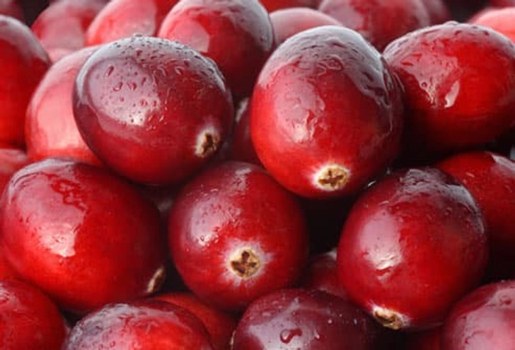 The Cranberry Connection