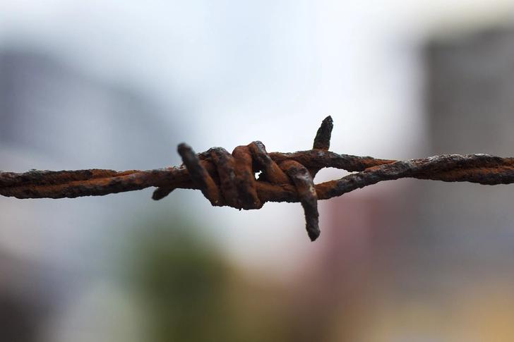 8. Tetanus