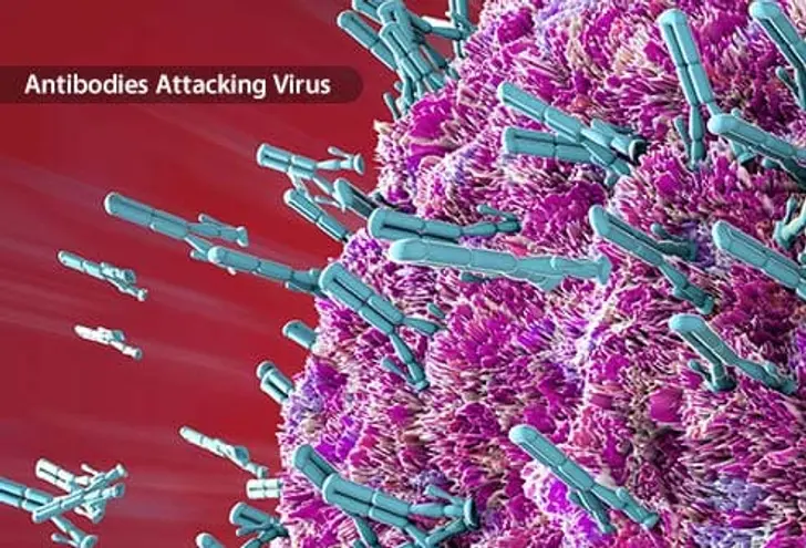 How Vaccines Work How Vaccines Work