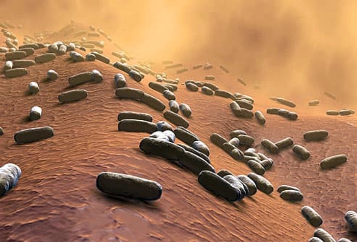 Tetanus (Tdap) Vaccine: Three-in-One