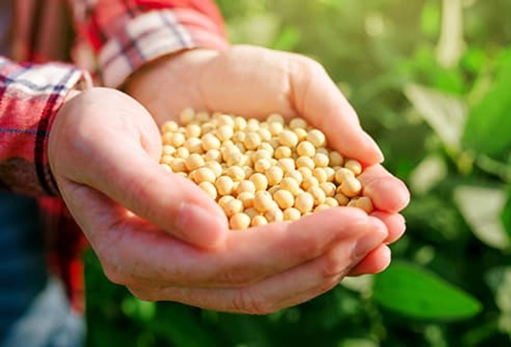 Soybeans