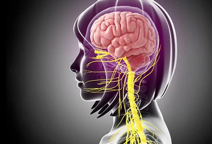 Protect Your Brain and Spine