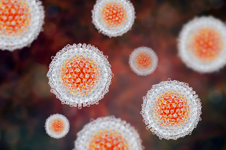 Infections Like Hepatitis Can Hurt the Liver Infections Like Hepatitis Can Hurt the Liver
