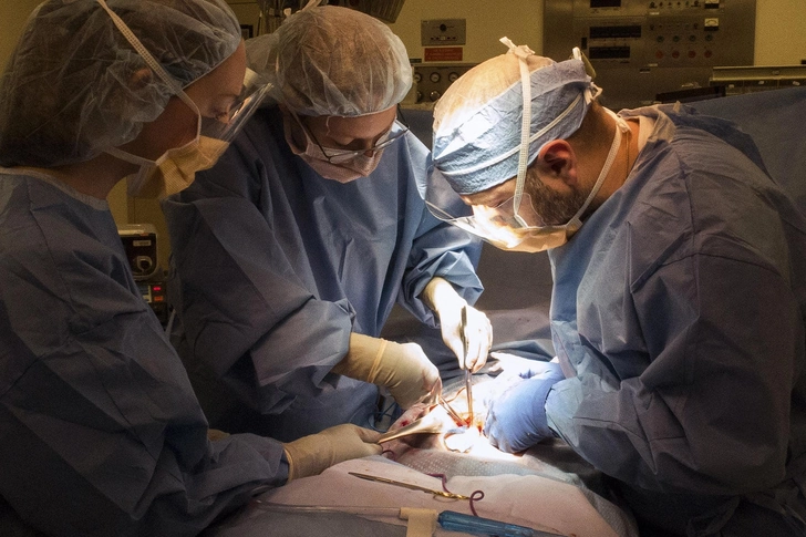 Laparotomy: Staging the Tumor Laparotomy: Staging the Tumor