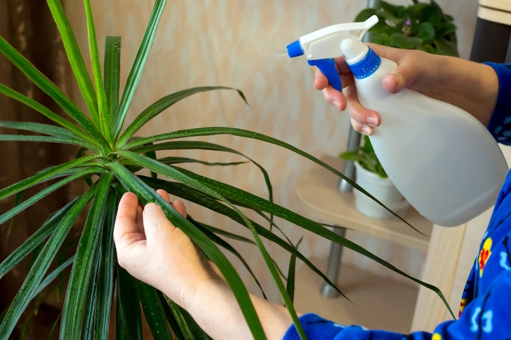 Soak Up Toxins Soak Up Toxins