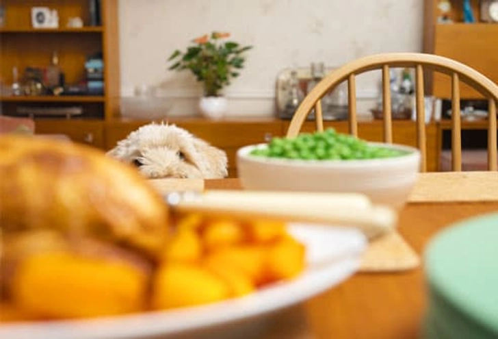 Eat at Home