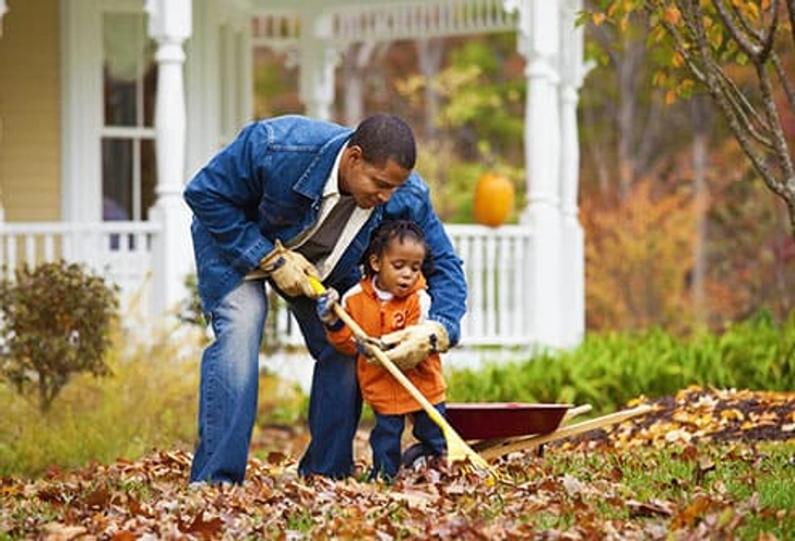 Check Your Landscape