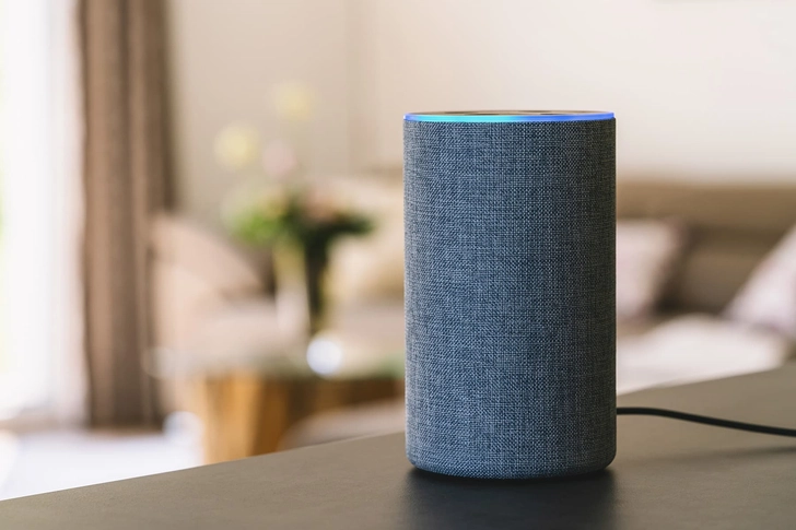 Voice Recognition