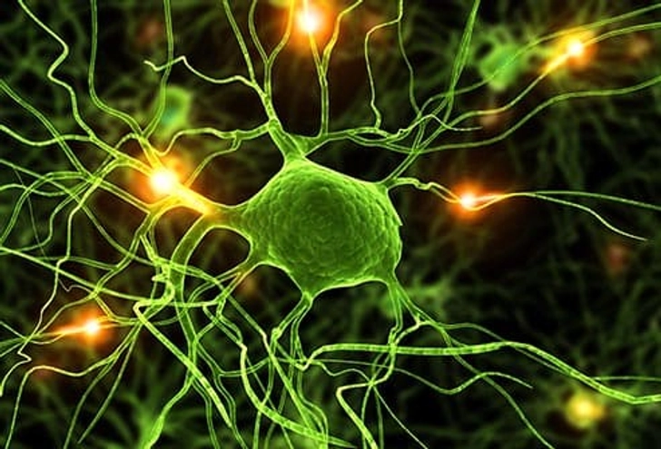 Neurological Disorders Neurological Disorders