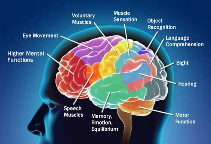 How Cancer Affects Your Brain How Cancer Affects Your Brain