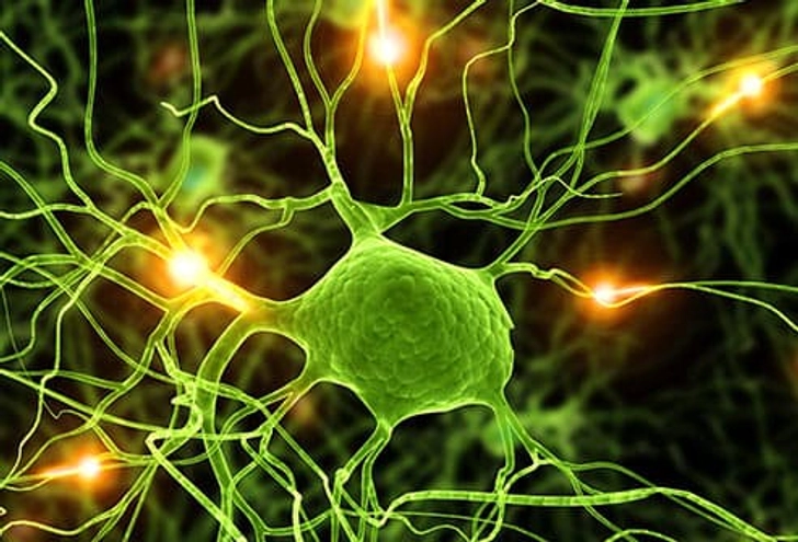 Seizures Seizures