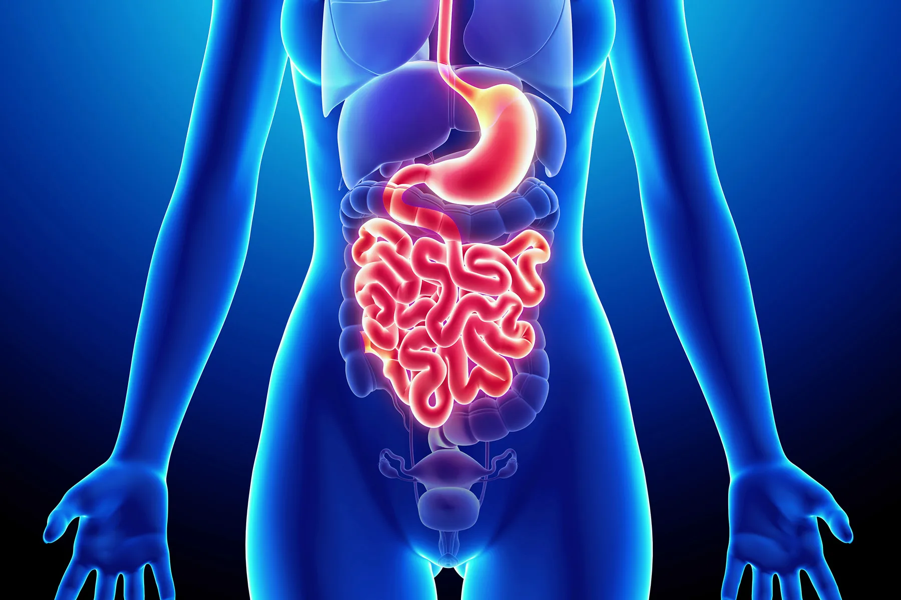 Your Digestion Gets Better