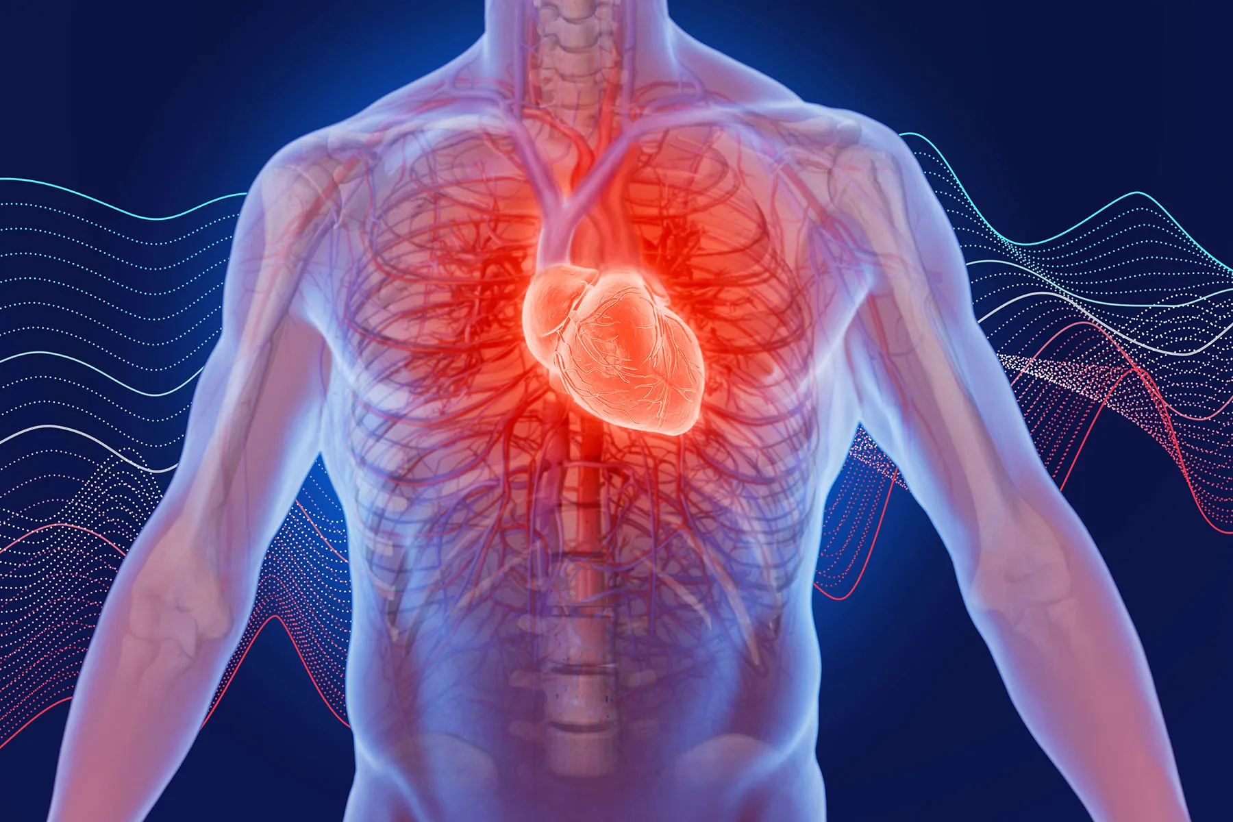 Your Heart Rate Slows