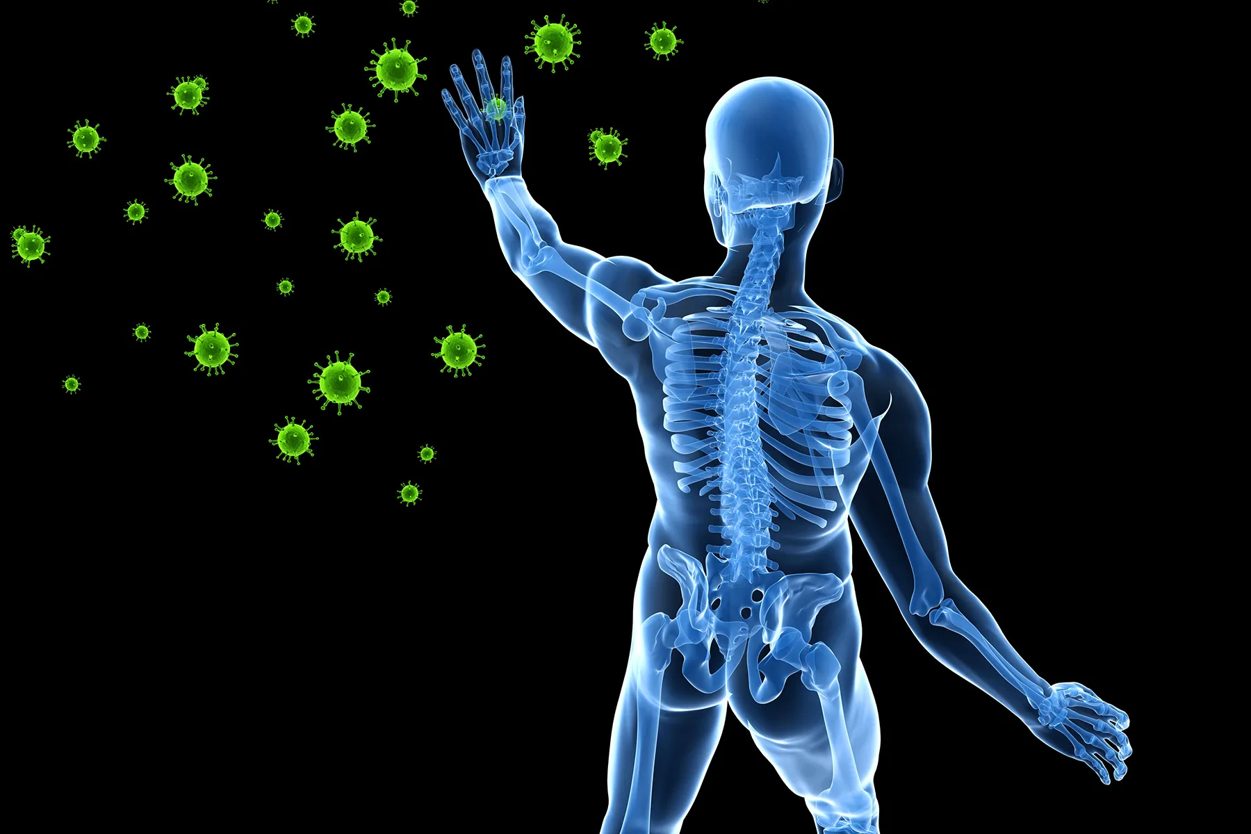 Your Immune System Works Better