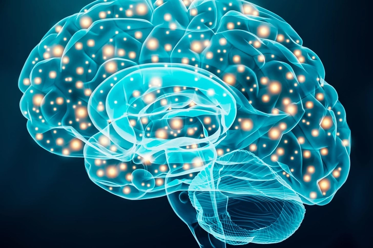 Brain Gains