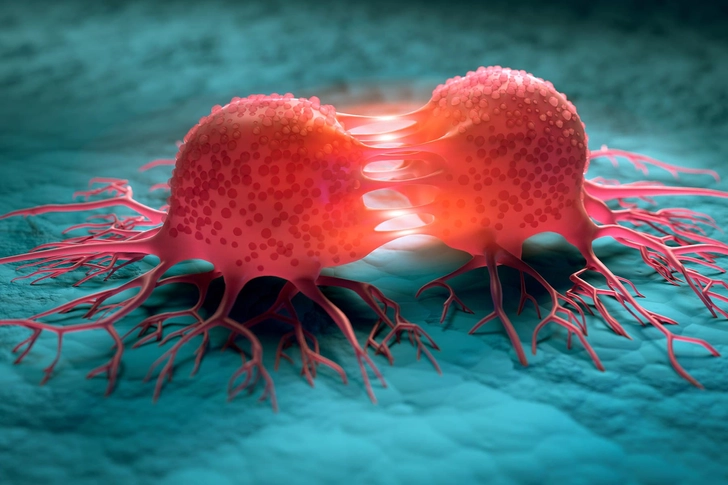Cut Your Cancer Risk