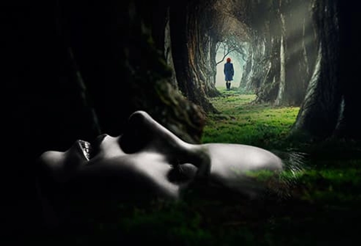 Dreams Dreams
