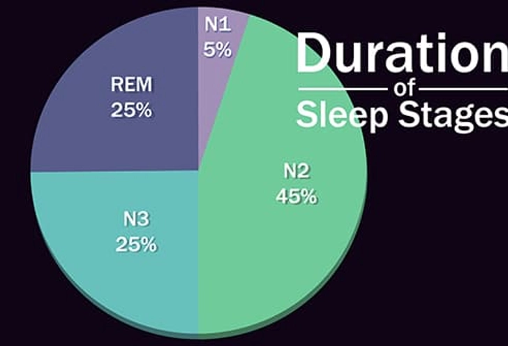 Non-REM Sleep Non-REM Sleep