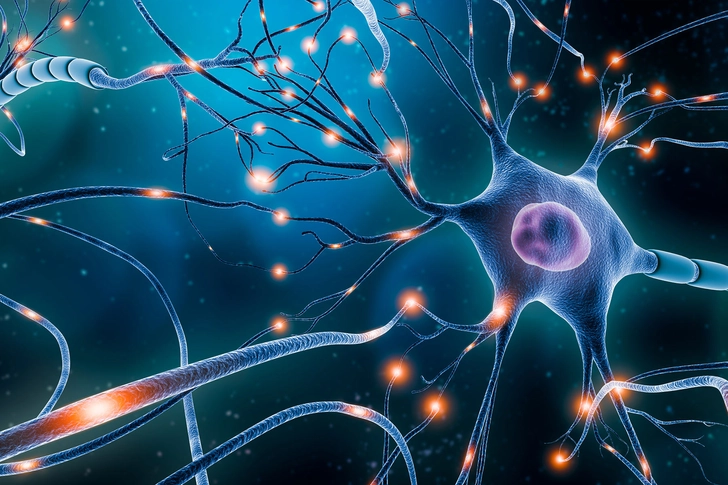It Can Help Control Seizures