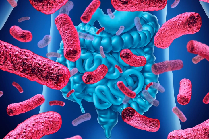 Better Gut Health