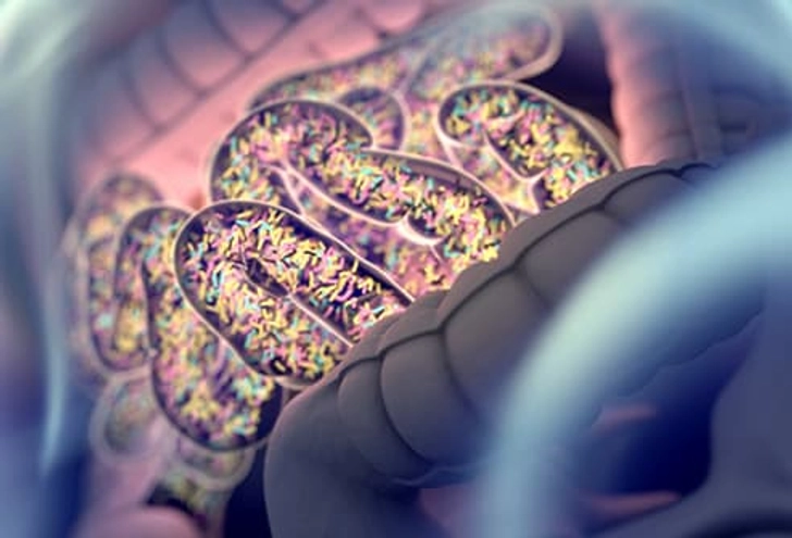 Messes With Gut Bacteria Messes With Gut Bacteria