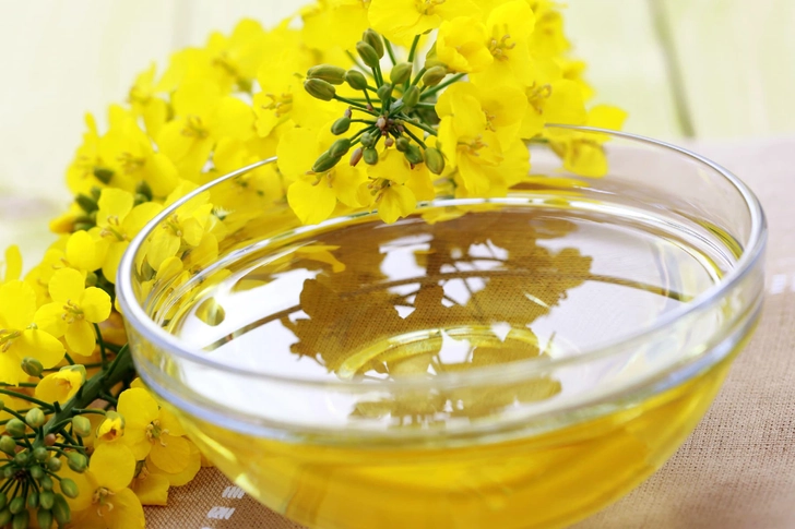 Canola Oil