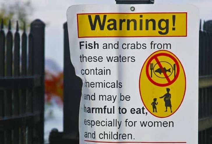 Fish From Local Waters