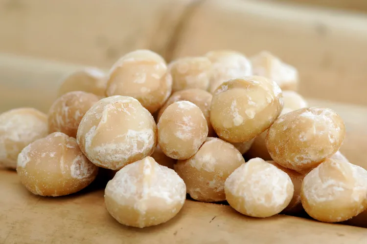 photo of macadamia nuts