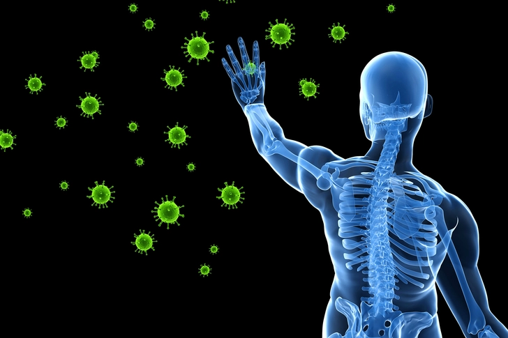 Immune System