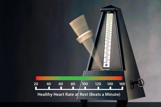 A Healthy Resting Heart Rate